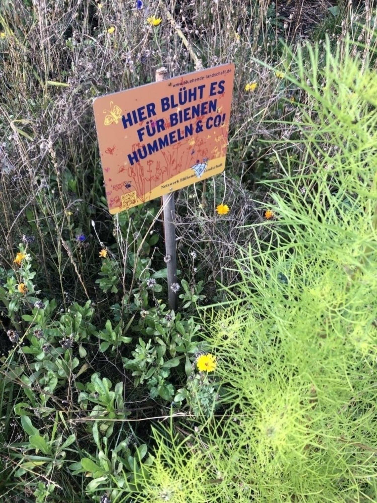 Meeresperle 2 Leuchtturm Klutz Εξωτερικό φωτογραφία